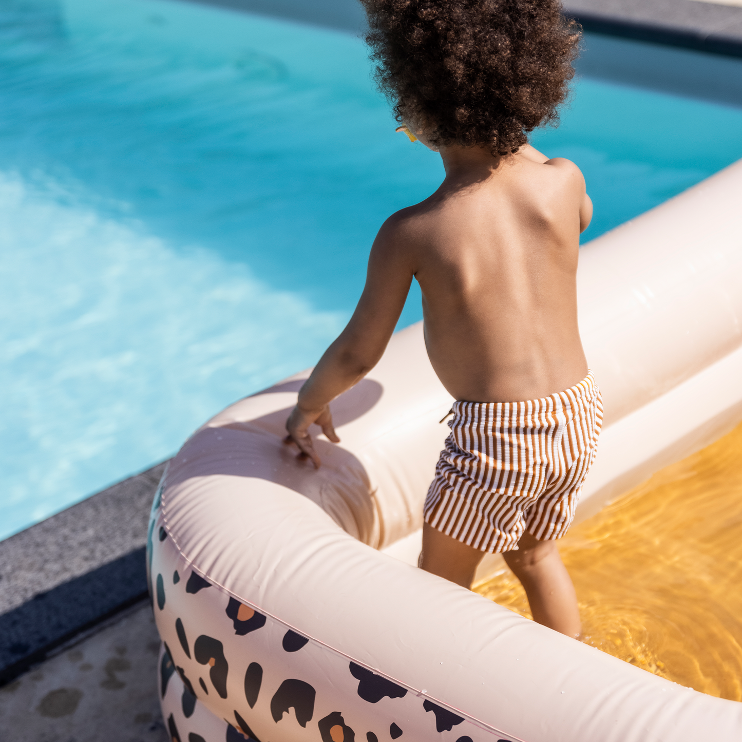 Pool - Beige - Safari Chic - 83 × 52 × 18".
