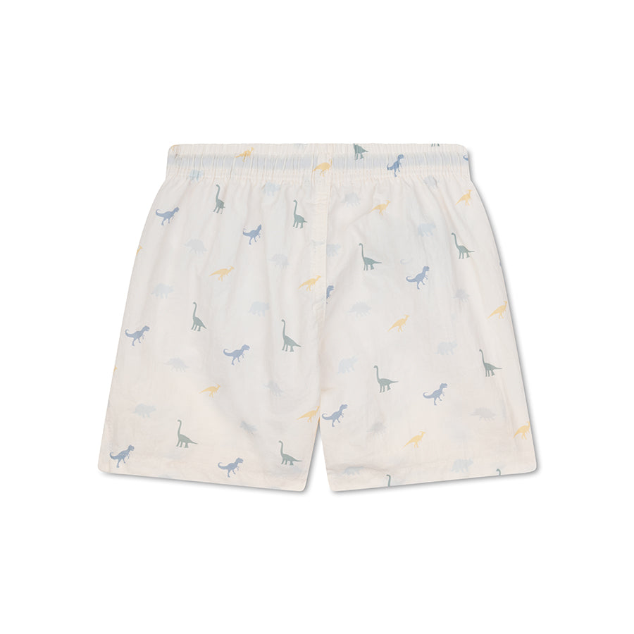 Swimshort with dinosaur pattern on a white background