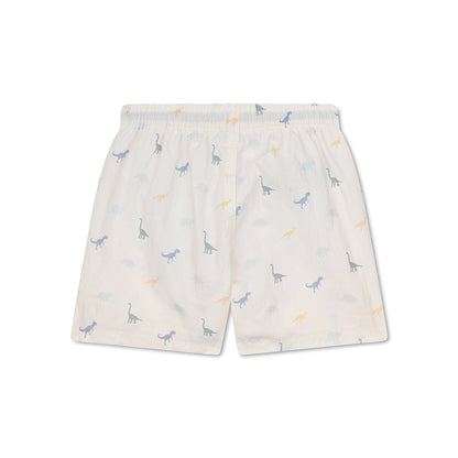 Swimshort with dinosaur pattern on a white background